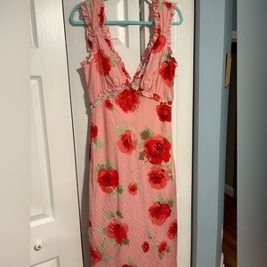 Lulu's Pink & Red rose Dress